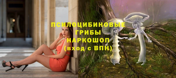 2c-b Алексин