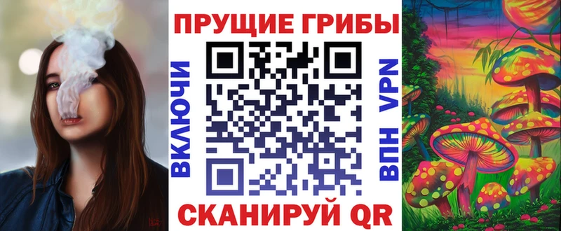 Псилоцибиновые грибы MAGIC MUSHROOMS  Новоульяновск 